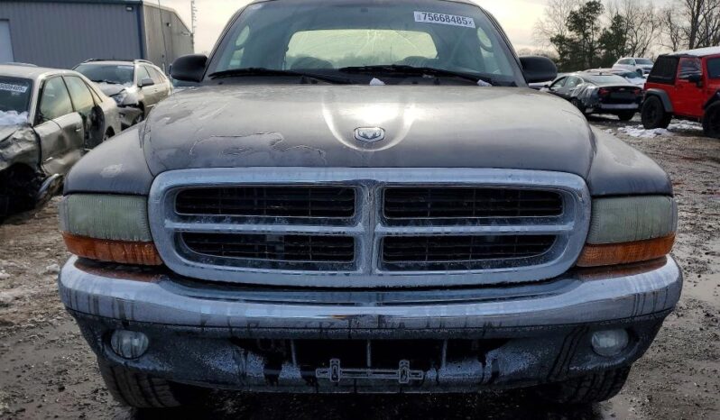 
								2002 Dodge Dakota full									