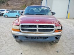 
										1999 Dodge Dakota full									