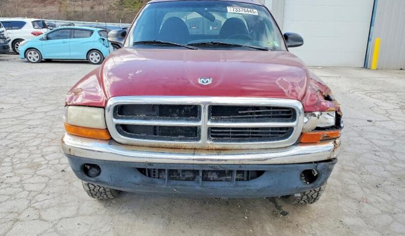 
								1999 Dodge Dakota full									