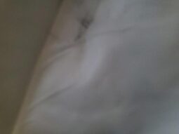 
										2016 Tesla Model x full									