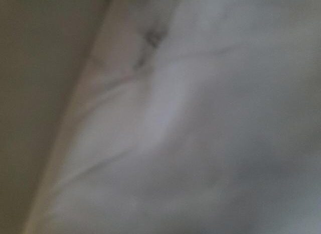 
								2016 Tesla Model x full									