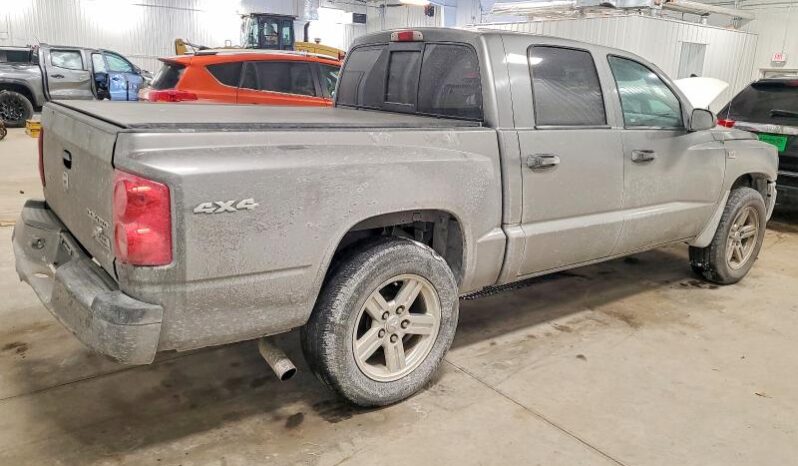 
								2010 Dodge Dakota full									