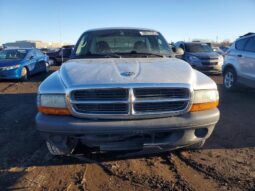 
										2004 Dodge Dakota full									