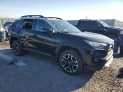 
										2019 Toyota Rav4 full									