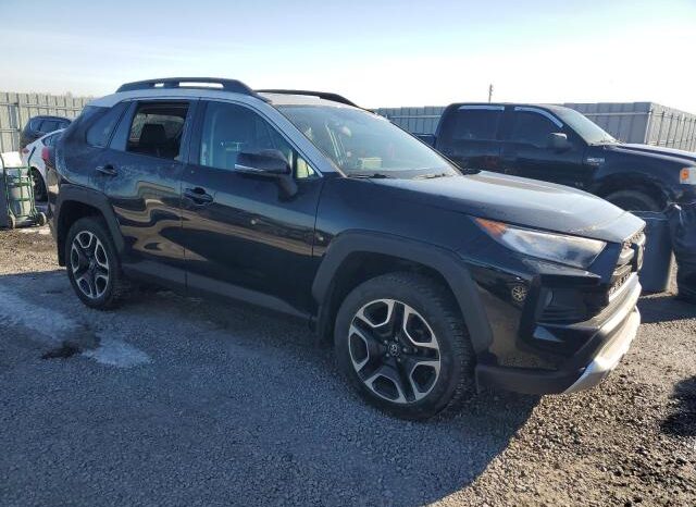 
								2019 Toyota Rav4 full									