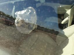 
										2022 Tesla Model x full									