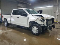 
										2024 Ford F150 full									