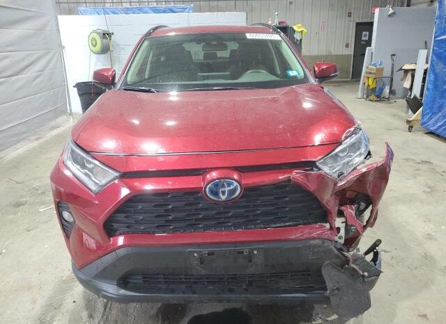 
								2019 Toyota Rav4 full									