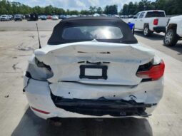 
										2019 BMW 2 series full									