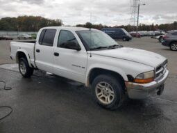 
										2001 Dodge Dakota full									