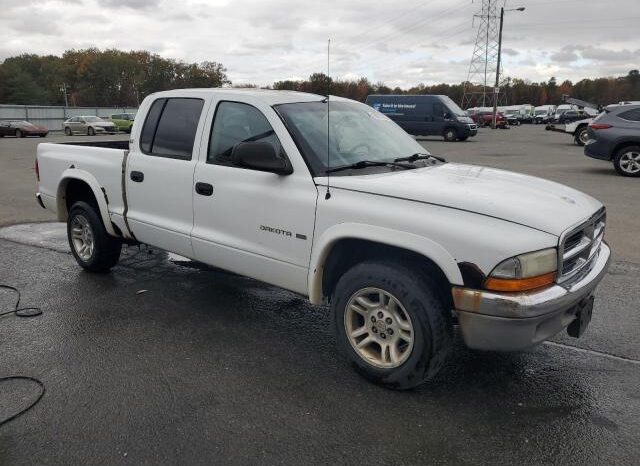 
								2001 Dodge Dakota full									