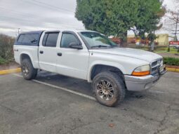 
										2004 Dodge Dakota full									