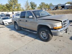 
										2002 Dodge Dakota full									