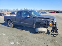 
										2004 Dodge Dakota full									