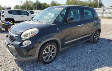 2014 Fiat 500l trekk