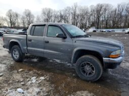 
										2002 Dodge Dakota full									