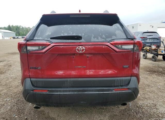 
								2019 Toyota Rav4 full									