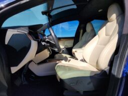 
										2020 Tesla Model x full									
