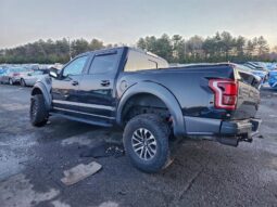 
										2019 Ford F150 full									