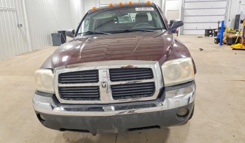 
								2005 Dodge Dakota full									