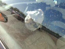 
										2022 Tesla Model x full									