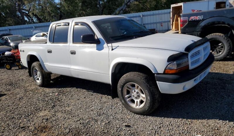 
								2004 Dodge Dakota full									