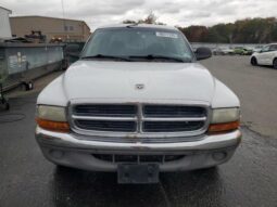 
										2001 Dodge Dakota full									