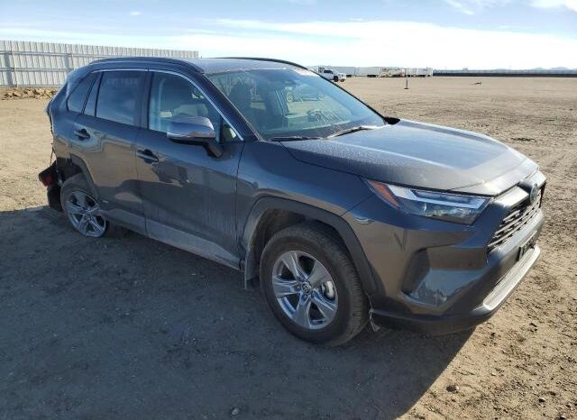 
								2024 Toyota Rav4 full									