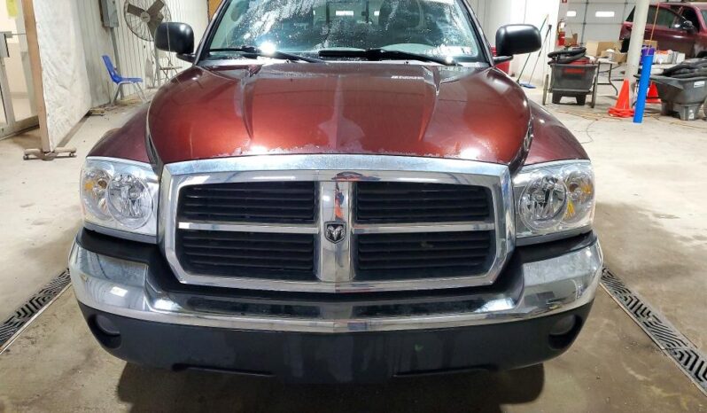 
								2005 Dodge Dakota full									