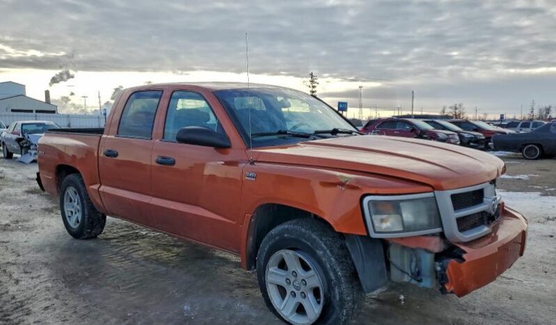 
								2010 Dodge Dakota full									