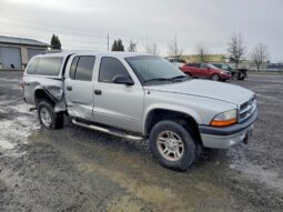 
										2004 Dodge Dakota full									
