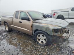 
										2010 Dodge Dakota full									