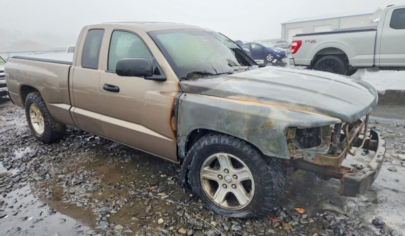 
								2010 Dodge Dakota full									