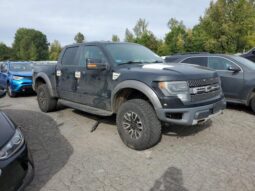 
										2013 Ford F150 full									
