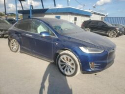 
										2019 Tesla Model x full									