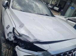 
										HYUNDAI SANTA FE full									