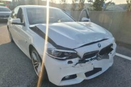 
										BMW 530d Xdrive full									