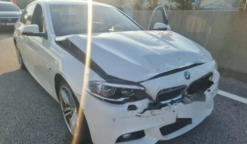 
								BMW 530d Xdrive full									