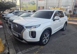
										HYUNDAI PALISADE full									