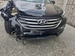 
										HYUNDAI SANTA FE full									