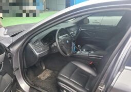
										BMW 520d full									