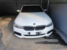 
										BMW 530d full									