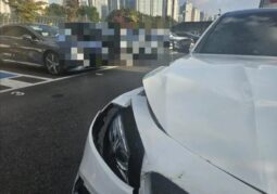 
										MERCEDES BENZ E 63 AMG 4Matik full									