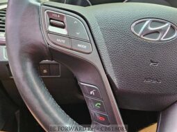 
										HYUNDAI MAXCRUZ full									