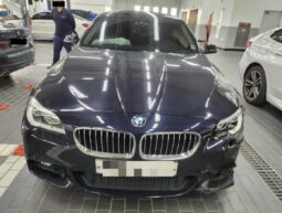 
										BMW 520d full									