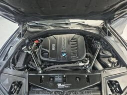 
										BMW 530d Xdrive full									