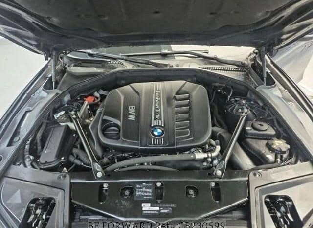 
								BMW 530d Xdrive full									