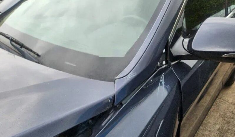 
								HYUNDAI SANTA FE full									