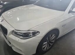 
										BMW 520d full									