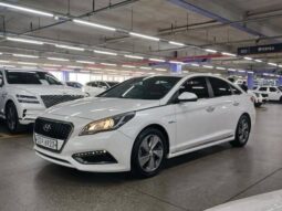 
										HYUNDAI Sonata full									